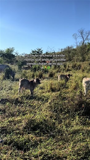 Life as a Ranch Worker in Mexico