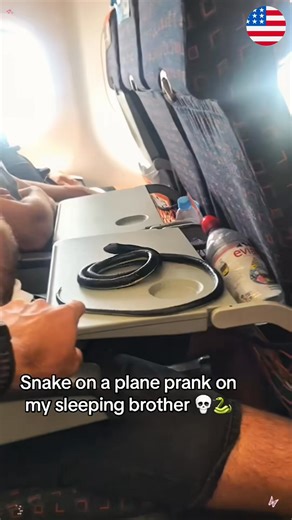 Fake Snake Prank #tiktok #funnyvideos #fyp #funny #usa | Wior Wuazuuxuax