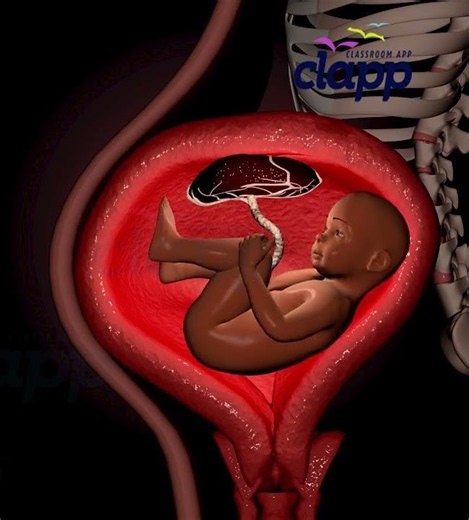 Watch the Incredible Moment a Baby Kicks Inside the Womb! 👶🦶🤰 #Shorts