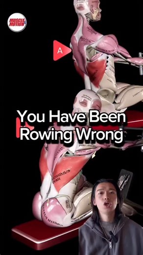 Dr. Xingchun Hector Wang | Physio | S&C Coach on Instagram: "Muay Thai clinch pulling ≠ bodybuilding rows. Fights don’t happen with perfect posture. They happen from long, awkward positions. Train your rows to reflect that long arms relaxed scapula force from reach. Strong in the gym is cool. Strong in the clinch matters more. Vid from @muscleandmotion"