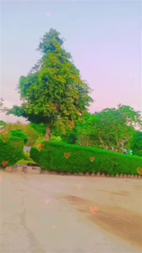 Understanding CIA Police Techniques