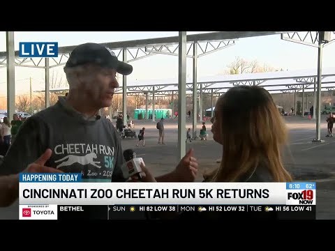Cheetah 4K run happening at the Cincinnati Zoo and Botanical Garden