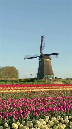 Here’s TSV’s Affordable European Tour designed for first time travelers to Europe! Hurry reserve now to avoid disappointment ! Usd 1,988! Explore Europe’s highlights on a budget—perfect for first-time travelers! Tour Stops • Amsterdam: Glide along iconic canals by boat or bike,visit the Royal Palace and Dam Square, Cheese and Clog Factory and soak up vibrant café culture. • Belgium: Stroll medieval streets in Bruges, sample world-famous chocolates and waffles, then admire the Grand Place and Ato