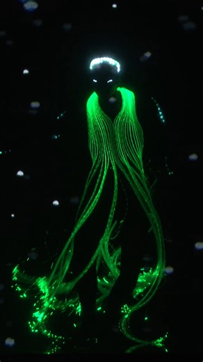 LightWire is one of a kind! America's Got Talent | NBC and Peacock | America's Got Talent