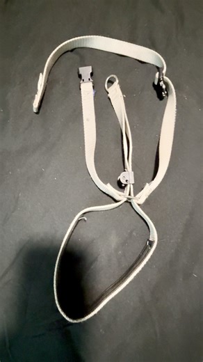 Watch Up close of gentle leader review on Amazon Live