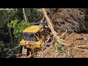 CAT D6R XL Bulldozer in Action | Land Clearing & Road Construction for Local Farmers