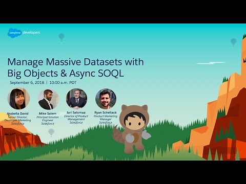 Manage Massive Datasets with Big Objects & Async SOQL