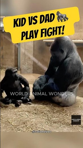 Baraka at 34✨Still a Playful Dad