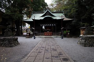 江戸時代から続く神のお米　天神米 | 困難の中にこそ美がある