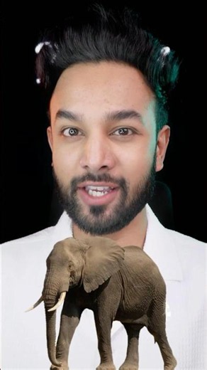 Why Do Elephants Eat Stones