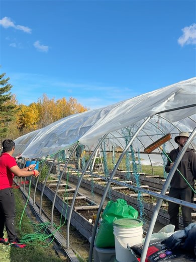 Hayes Farm on Reels | Facebook