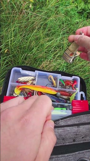 ASMR Fishing Casts – Relaxing Sounds by the Water