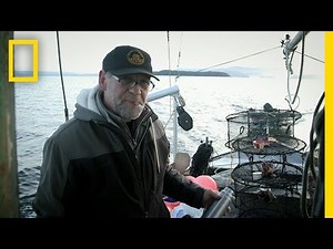 Packing the Shrimp Pots | Port Protection