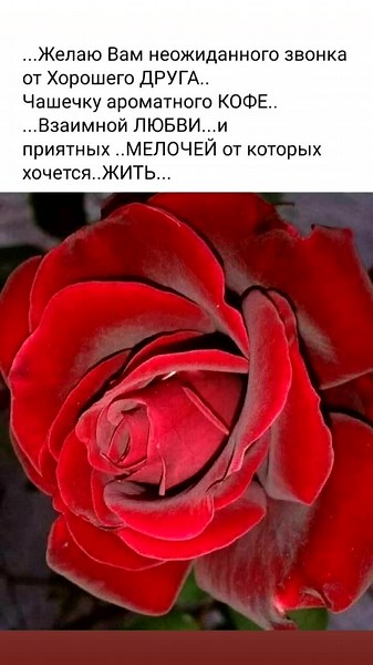 nika_nika356 on TikTok