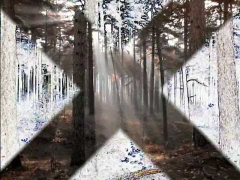 Burzum - Hvis Lyset Tar Oss - Det Som Engang Var Full Lyrics and Eng sub on screen