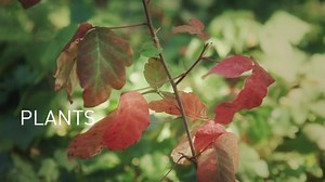 Learn more about the different types of eczema to help identify what type of eczema you may have. #Eczema #Biodermapakistan #Atoderm #skinbodyguard #Dryskin #Causeodryskin | BIODERMA