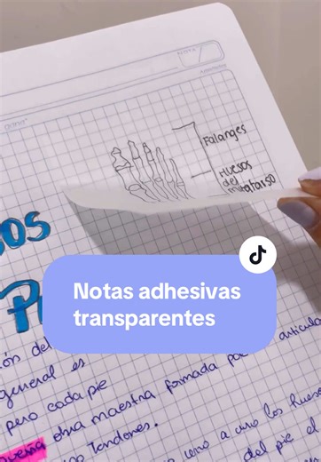 Discover Transparent Sticky Notes for School Projects