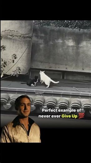 Perfect Example Of Never Ever Give Up 💪🔥✨