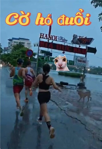 Sẵn sàng mọi tình huống cho VMM 😆🐾🐾 #cungheospeed #jangjang #running #interval