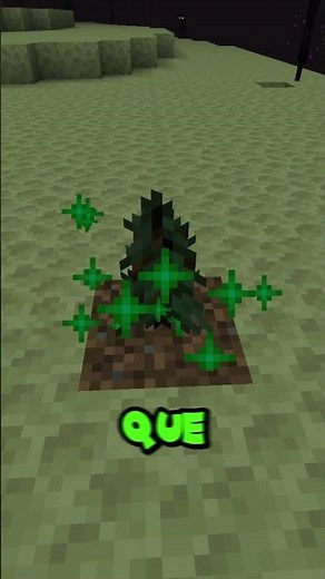 Como Plantar Árboles En El End De Minecraft