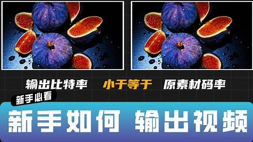 【新手必看】新手如何输出视频 【PR教程】【PR2025】