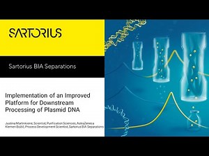Implementation of an Improved Platform for Downstream Processing of Plasmid DNA