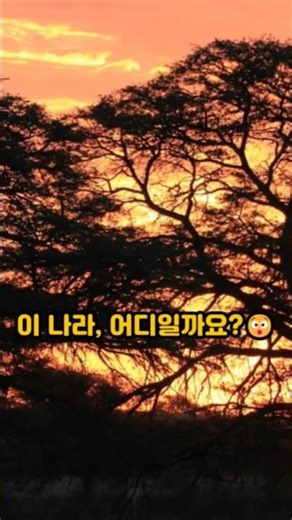 이 나라 어디일까요?🤔(Travel Quiz)