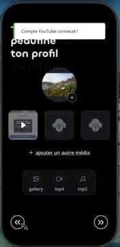 YouTube Data Access Demo – Display Subscriber Count