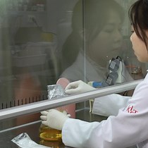 Video: Measuring the Effects of Bacteria and Chemicals on the Intestinal Permeability of Caenorhabditis elegans