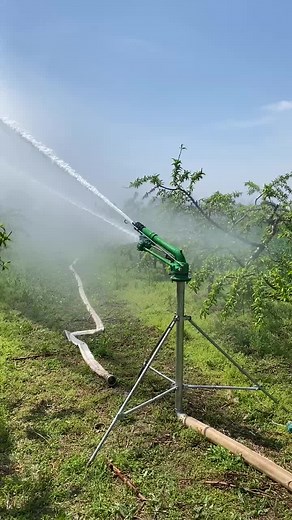 lferyue.en.alibaba.com on TikTok