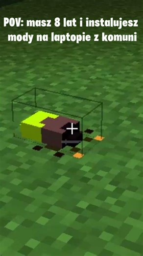 Każdy choć raz spróbował #333code #minecraft #plugin #gaming #memes #mc #minecraftmods #forest