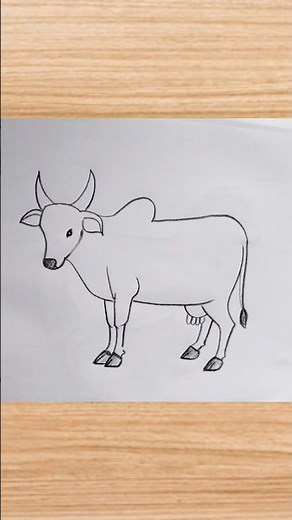 How to draw cow drawing easy step by step