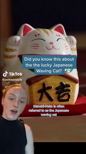 Discover the Fascinating Japanese Waving Cat