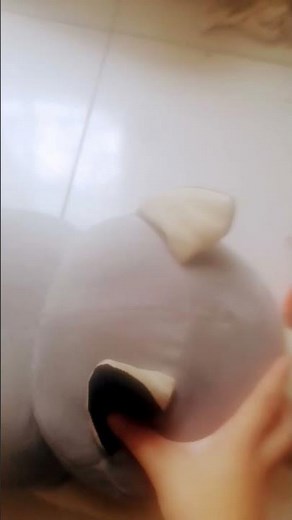 Ryan wake up, go the disneyland!