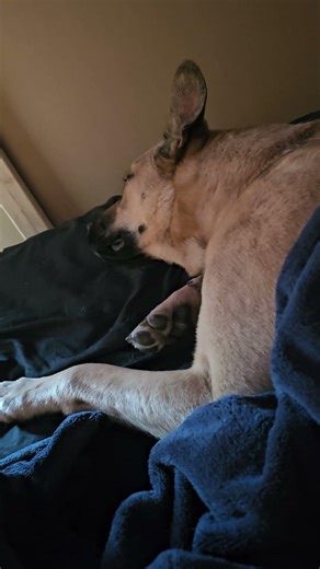 Me fall down go boom #giveusourstolenmoneyback #helpmemakethismakesense