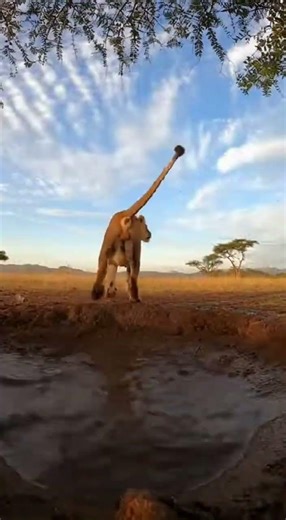 Best Friend is the One Who Pushes You in Water