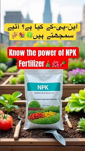 NPK Fertilizer Explained in 30 Seconds! Boost Your Plant Growth 🌱#GardeningTips #NPKFertilizer