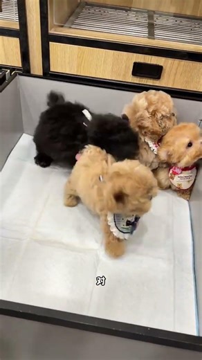 Real-Life Resilience: Stories of those Who Refuse to Give Up