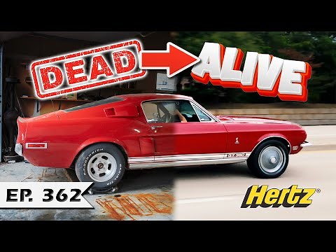 1968 Shelby Hertz Rent-a-Racer - 4th of July Special!!