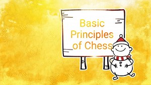 Basic Principles of Chess