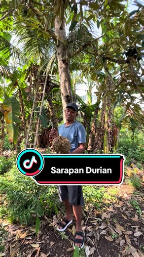 Manfaat Durian untuk Kesehatan dan Kualitas Montong