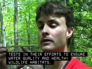 Forestry Career Overview