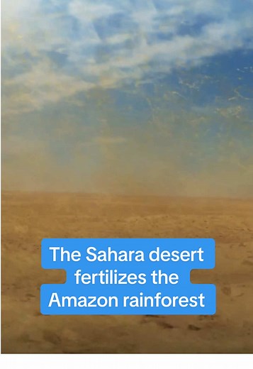 Cómo el desierto del Sahara fertiliza la selva amazónica