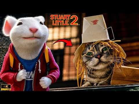 Stuart Little Meets Snowbell in a Funny Moment | Stuart Little 2 (2002)