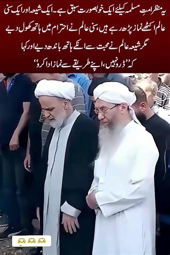 True Unity of Islam | Shia and Sunni Praying Together with Love and Respect#usa#viral#short