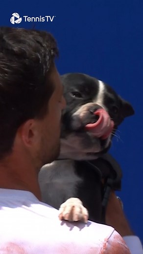 8.7M views · 155K reactions | Celebrating A Title With Your Dog  | Tennis TV | Facebook