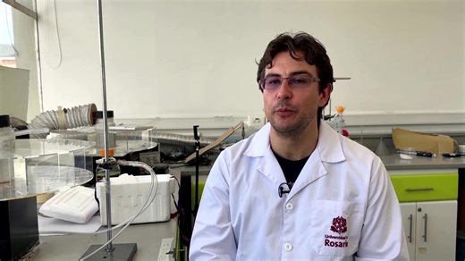 Scientists in Colombia say they have developed a novel food supplement that protects bees' brains from pesticides, keeping the insects safe from neurological damage caused by agricultural chemicals https://reut.rs/4hiPu2T | Reuters
