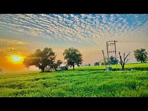 Bangali Lifestyle | Daily Vlog 🇮🇳 | cinematic video