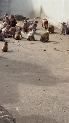 #punchkun #punchi #punch #babypunch | baby boy punch scene