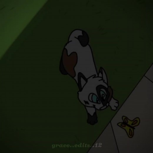 El mejor edit de Sigma Boy